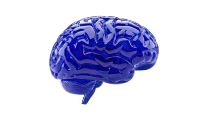 3D Render of a Blue Transparent Human Brain