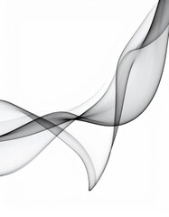 Elegant Black and White Flowing Smoke Waves on a White Background