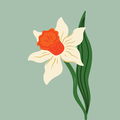 Early spring garden flowers. Bouquet of narcissuses.Beautiful vector watercolor floral set with gentle hellebore and daffodil flowers.