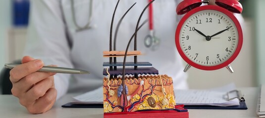 Skin circadian rhythm and doctor holding skin model and alarm clock