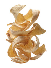 Whimsical Dried Flowers: A captivating close-up of delicate dried flowers. Delicate and graceful, a unique perspective on the beauty of botanical treasures.