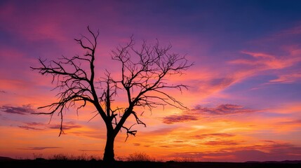 Dramatic Twilight Landscape with Solitary Bare Tree Silhouette Against a Vibrant Orange, Purple, and Red Sunset Sky