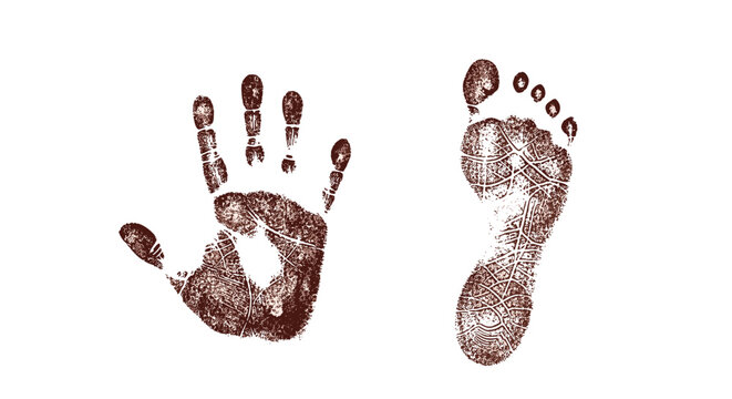 Simple artistic representation of a human handprint and footprint in a rustic brown ink style isolated on a plain white background.