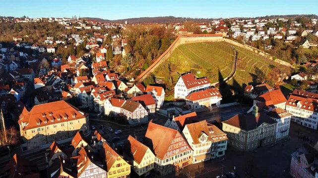 A vineyard on a hillside above urban Esslingen shows terraced vines beside buildings on a clear sunny winter day. The scene suits travel tourism and documentary projects focused on European towns