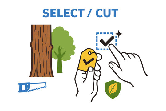 Hand selecting cut tree icon with checklist and saw for selective logging concept