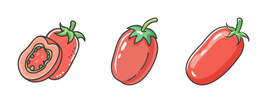 Ripe red roma tomatoes, one cut in half, hand-drawn illustration of fresh produce