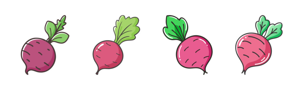 Four whole beetroots with green leaves, hand-drawn style, vibrant colors.