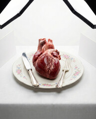 Surreal concept of anatomical human heart served on dinner plate in photo studio setting with lighting equipment visible