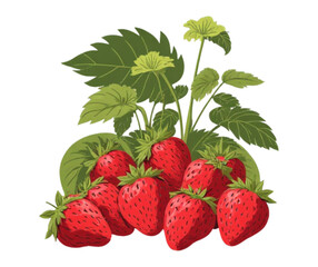 strawberry with leaves