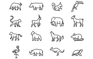 wild animals collection