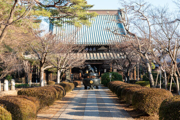 Obraz premium Gotokuji temple