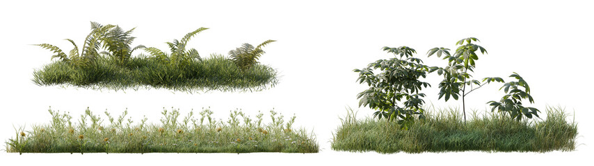 Collection of Green Garden Vegetation featuring Fern Bushes and Meadow Grass Clusters Isolated on White