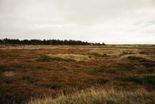 K&uuml;stenlandschaft am Strand D&auml;nemark