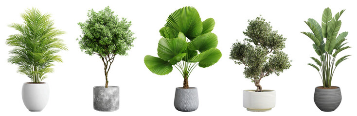 Collection of Potted plants, Indoor plants, Greenery, Houseplants, and Decorative plants for modern home and office decor.
