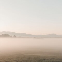 Foggy field with mountains in the background