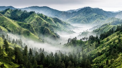 Lush Green Mountain Landscape with Misty Valleys and Forests in Morning Light
