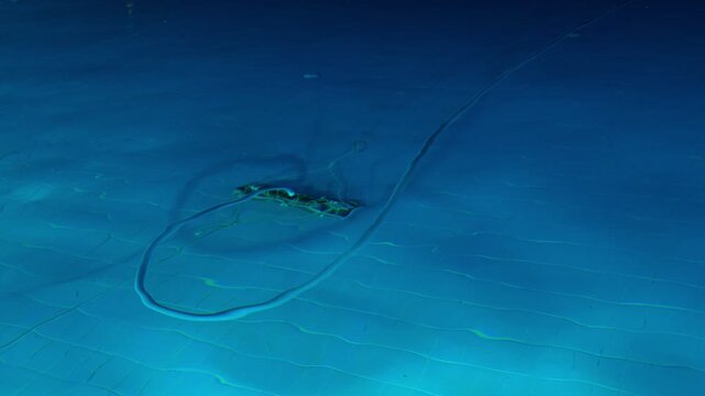 Cleaning the pool bottom with a water vacuum cleaner in the evening. The concept of cleaning pools for hotels, resorts and country houses.