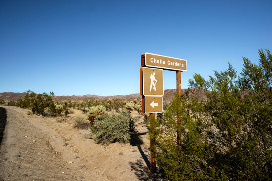 Trail sign marking Cholla Gardens hiking path in desert landscape