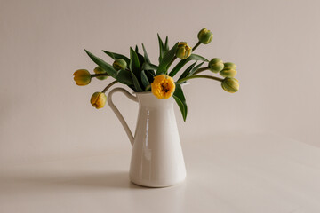 Yellow tulips in white ceramic pitcher on neutral background