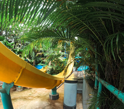 Yellow slide among the tropical trees, a water park in Malaysia.