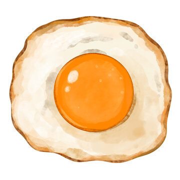 Agg  Illustration Watercolor  Drawing