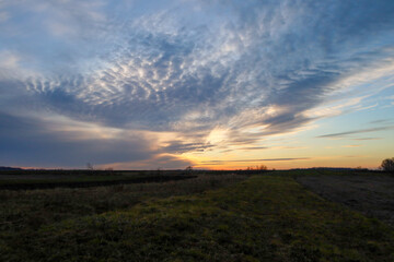 Obraz premium A majestic sky filled with textured cirrus clouds unfolds over endless autumn fields in the rays of a muted sunset. The golden streak of light on the horizon contrasts softly with the deep blue and gr