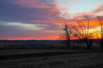 A picturesque sunset paints the evening sky with vibrant shades of orange, pink, and blue over a peaceful rural field. Dark silhouettes of bare trees against colorful clouds create an atmosphere of a 