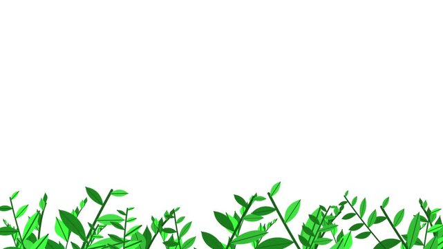 Animated background illustration of grass with a nature theme