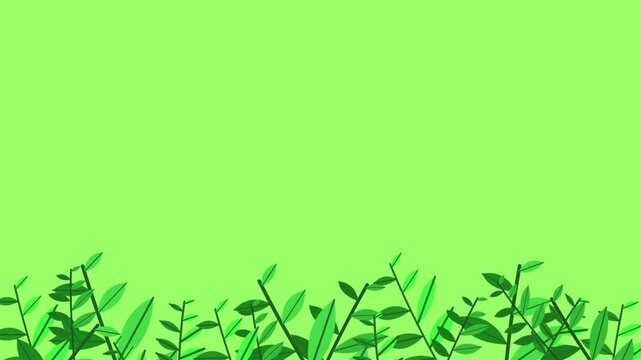 Animated background illustration of grass with a nature theme