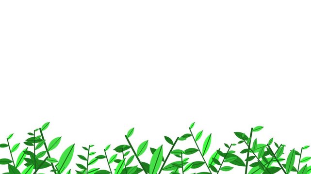 Animated background illustration of grass with a nature theme