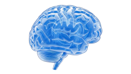 3D Render of a Transparent Blue Human Brain
