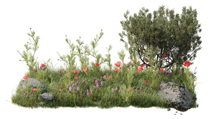 Lush Green Garden Patch with Red Poppies, Purple Wildflowers, and Natural Stones Isolated on White
