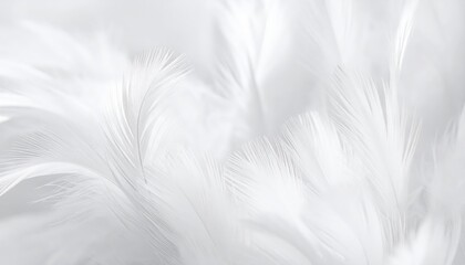 Obraz premium Soft white feathers create a textured pattern on a black background with a light smoke grunge design and purple macro art