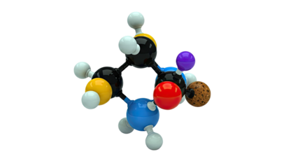 3D model of the amino acid Histidine