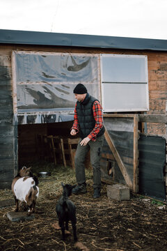 Farmer interacts with goats outside barn