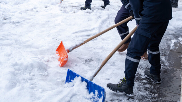 Municipal workers are cleaning the sidewalks blocked by snow. snow removal workers with snow shovels