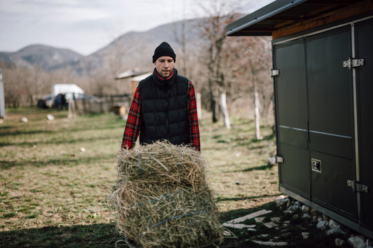 Man carries hay while working on a farm