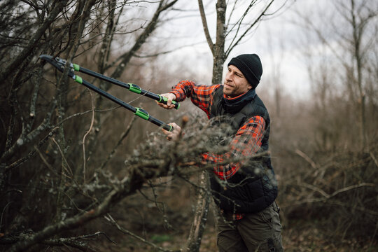 Man uses pruning shears to trim trees in a forest