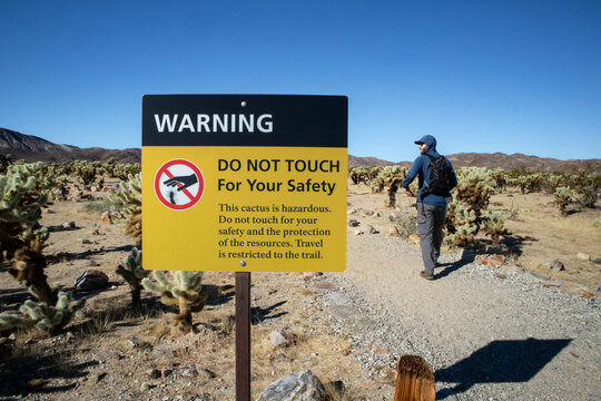 Warning sign near hazardous cactus on desert hiking trail