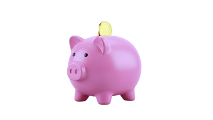 Pink Piggy Bank with Gold Coin