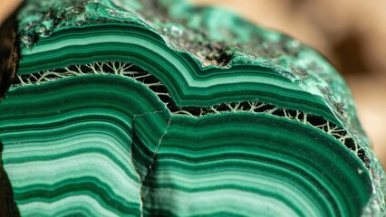 Malachite stone with green banding and intricate crystal patterns  