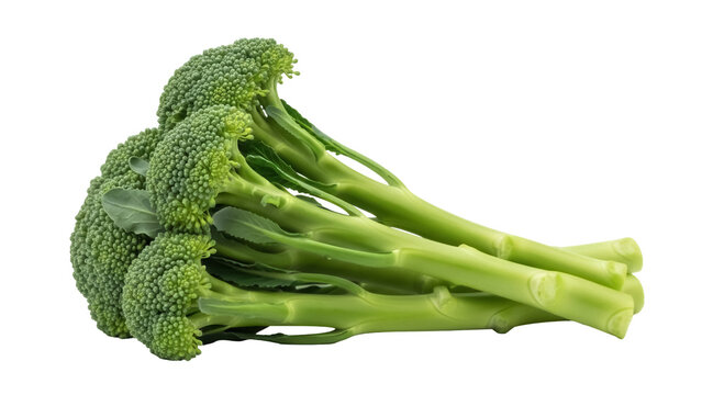 Fresh green broccolini isolated PNG on transparent background, healthy raw vegetable for cooking and vegan diet, nutritious food