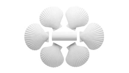 White Scallop Shell Arrangement