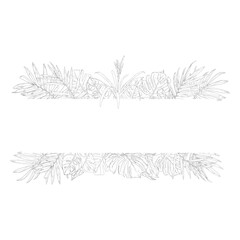 Palm and monstera leaves, black and white sketch. Vector illustration. Tropical tree leaves rectangular banner isolated on white background. Green lush wildlife plants and fresh jungle foliage.