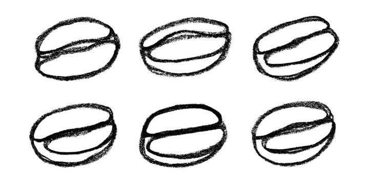 Set of hand drawn fresh roasted coffee bean Arabica robusta seed doodle Single element for design print packaging label decor