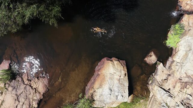 Aerial view of a refreshing swim in the clear waterhole. The swimmer enjoys a natural, beautiful, wild, refreshing escape Cederberg, South Africa