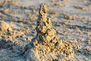A sand castle is built on a beach