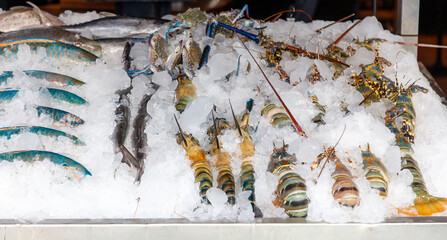 A display of seafood in a freezer