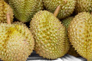 A bunch of green durians with a pointed top