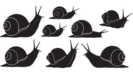 Set of Snail Silhouettes and Stylized Garden Illustrations; Slow-Moving Land Gastropods in Various Poses and Shell Shapes Isolated on White Background for Nature and Slow Living Concepts